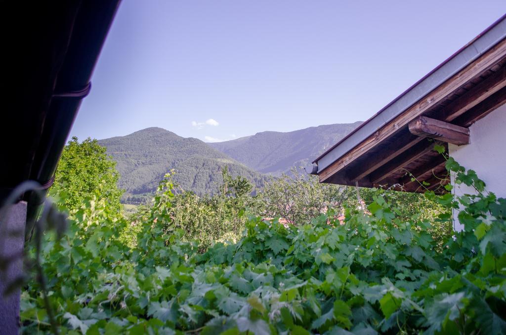 Guesthouse Juli サパレヴァ・バニャ エクステリア 写真